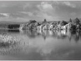 Digital Image (Monochrome) 2nd Lake of Menteith by John Forsyth